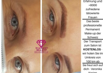 Permanent Make-Up Microblading Augenbrauen Härchen Linien Veronika Kocian Schweiz Luzern
