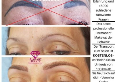 Profi Permanent Make-Up Microblading Augenbrauen Härchen Zeichnung, Lidstriche oben und unten, Lippen Luzern